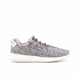 Yeezy 350 Turtle Dove